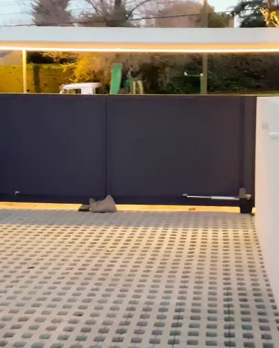 Portón portilla metálica vehículos vivienda